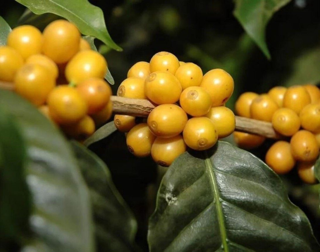 Bài viết mẫu